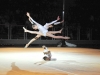 viginnastica-1306338007-2