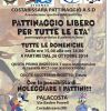 Pattinaggio libero a Costabissara
